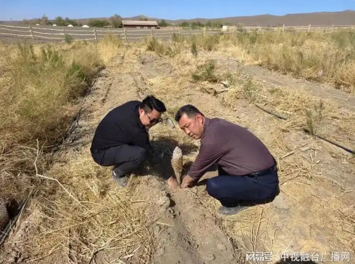 微信截图_20250730173625.png