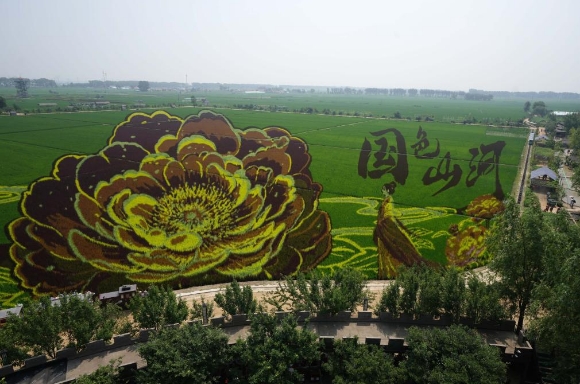 微信截图_20250805105251.png