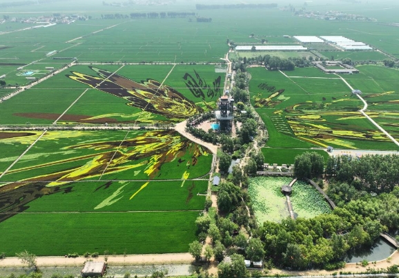 微信截图_20250805105301.png