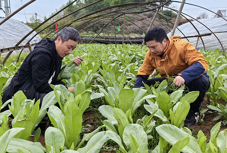 wechat_2025-08-25_110758_934.png