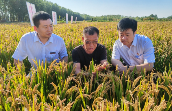 wechat_2025-08-26_111703_414.png