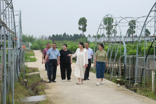 wechat_2025-08-29_114812_595.png