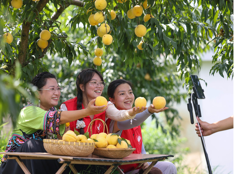 wechat_2025-09-03_143409_340.png