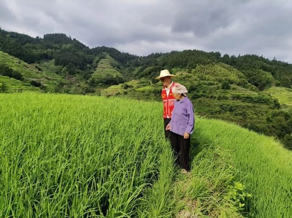 17573975396575.png wechat_2025-09-09_135740_158.png