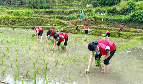 17575725539167.png wechat_2025-09-11_143535_013.png