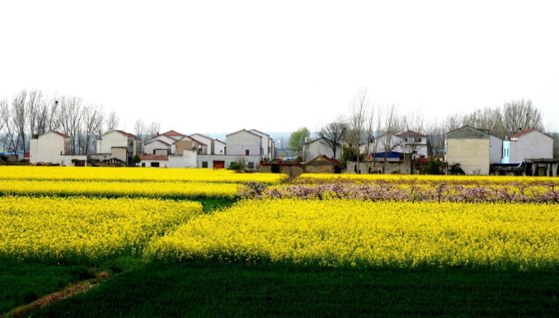 17576578216988.png wechat_2025-09-12_141619_235.png