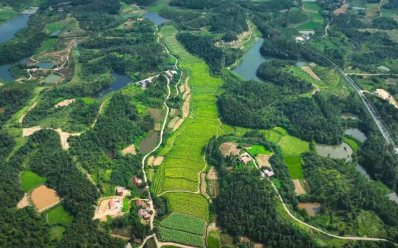 17576578422849.png wechat_2025-09-12_141628_476.png