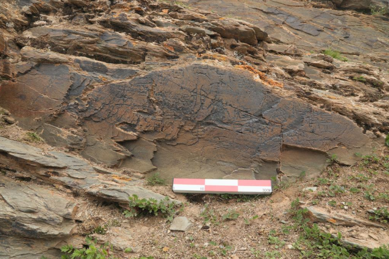 175799289810048.png wechat_2025-09-16_112044_206.png