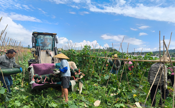 17579945259255.png wechat_2025-09-16_114719_822.png