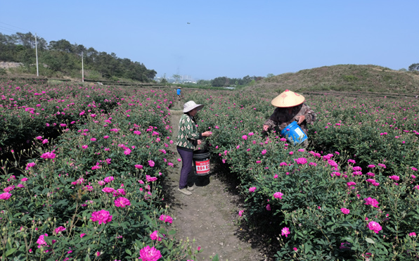 17579945319580.png wechat_2025-09-16_114728_950.png